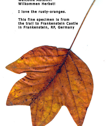 MapleLeaf-FrankensteinCastle450