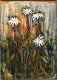 Four Daisies