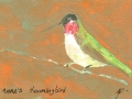 Anna \'s Hummingbird