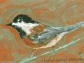 Chestnut-backed Chickadee