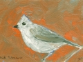 Oak Titmouse